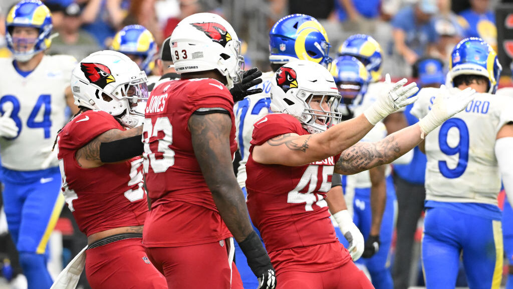Dennis Gardeck #45 of the Arizona Cardinals celebrates after a second quarter sack against the Ariz...