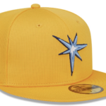 (MLB.com screenshot/Tampa Bay Rays)